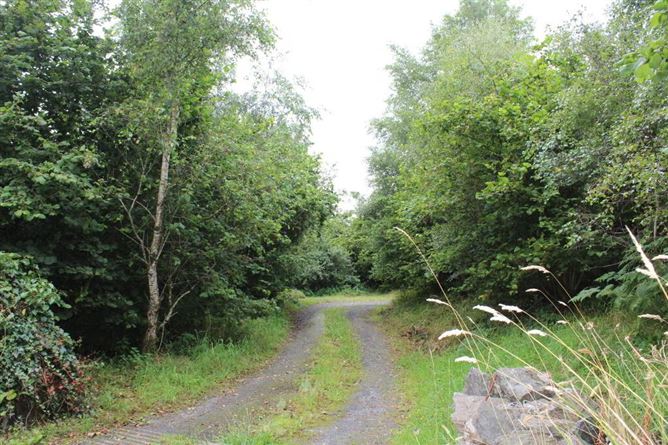 Loughdaheen, Kilmeadan, Waterford