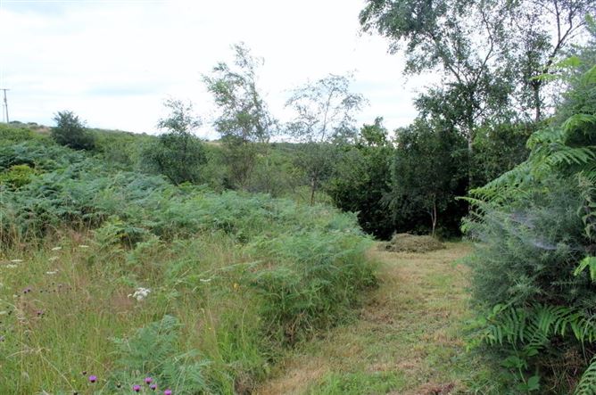 Loughdaheen, Kilmeadan, Waterford