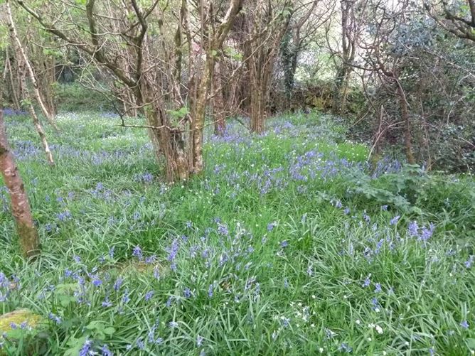Loughdaheen, Kilmeadan, Waterford