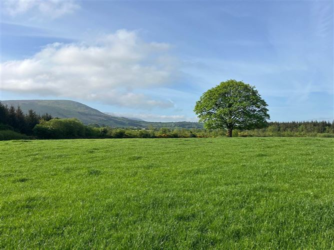 Mullannagaun & Ballyglisheen, Ballymurphy, County Carlow