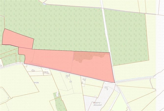 Forestry Lands Eyon, Murroe, Co. Limerick