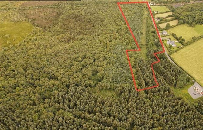 Forestry Lands Eyon, Murroe, Co. Limerick