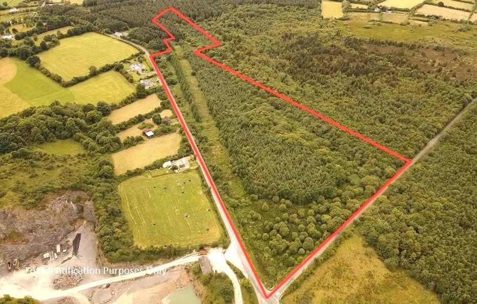 Forestry Lands Eyon, Murroe, Co. Limerick