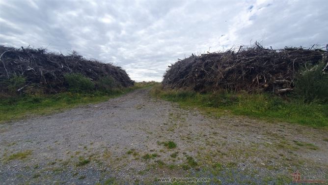Photo 7 of 8 — Aghrafinigan, Knockvicar, Boyle, Co. Roscommon