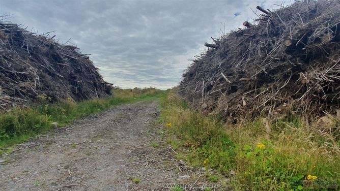 Aghrafinigan, Knockvicar, Boyle, Co. Roscommon