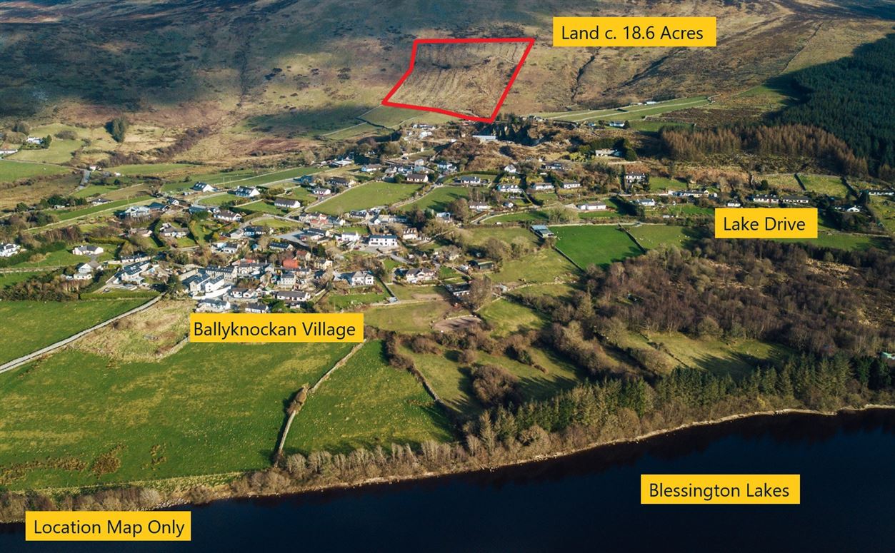 Forestry c. 18.6 Acres, Quarry Road, Ballyknockan, Blessington, Wicklow