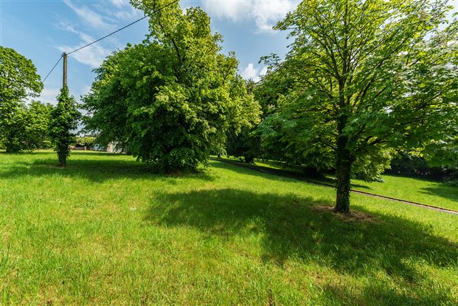 Riverview House, Carlow Road, Athy, Kildare