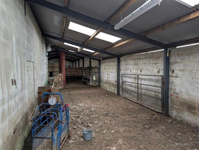 Photo 27 of 34 — Cornagunleog Townland, Bawnboy, Cavan