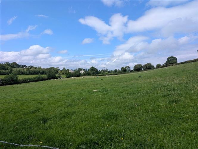 Photo 31 of 34 — Cornagunleog Townland, Bawnboy, Cavan