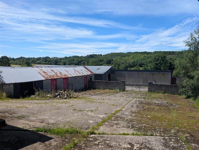 Photo 25 of 34 — Cornagunleog Townland, Bawnboy, Cavan