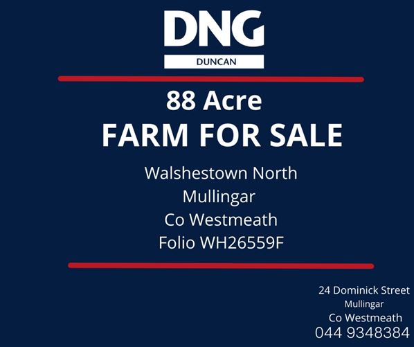 Farm For Sale, Walshestown North 