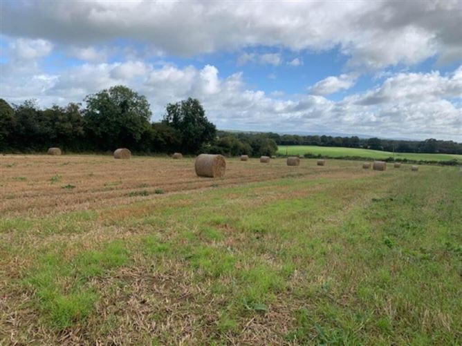 Ballycapplewood, Bantis, Cloughjordan, Nenagh, Tipperary