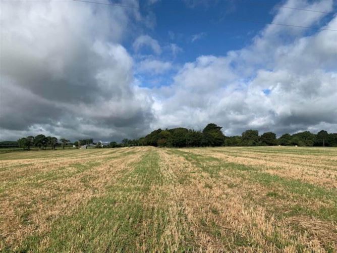Ballycapplewood, Bantis, Cloughjordan, Nenagh, Tipperary