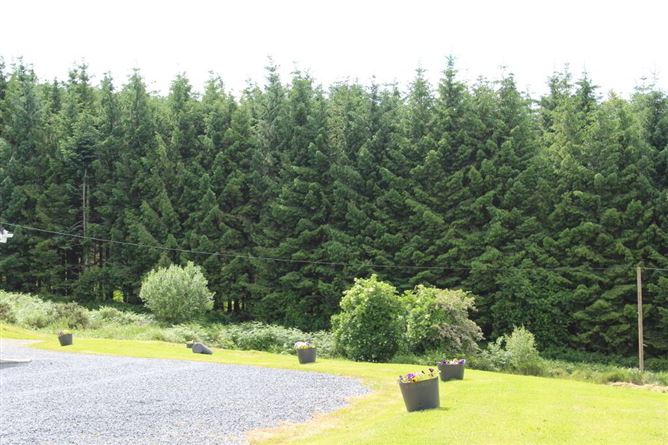 Cois Coille, Milltown, Piltown, Kilkenny