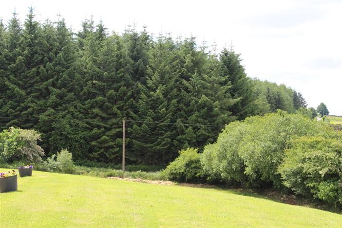 Cois Coille, Milltown, Piltown, Kilkenny