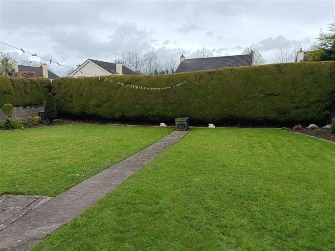55 Blundell Wood, Edenderry, Offaly