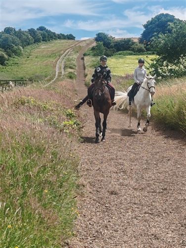 Welcome to our home in the countrys, Co. Kilkenny