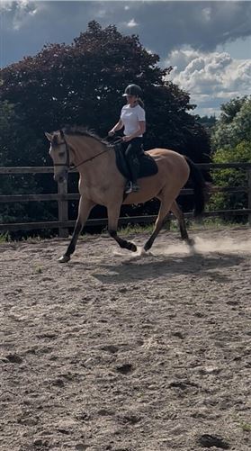 Welcome to our home in the countrys, Co. Kilkenny