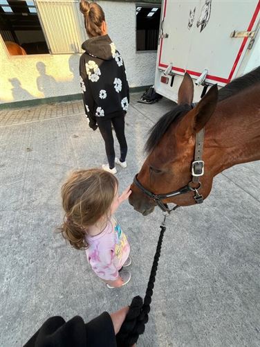 Welcome to our home in the countrys, Co. Kilkenny