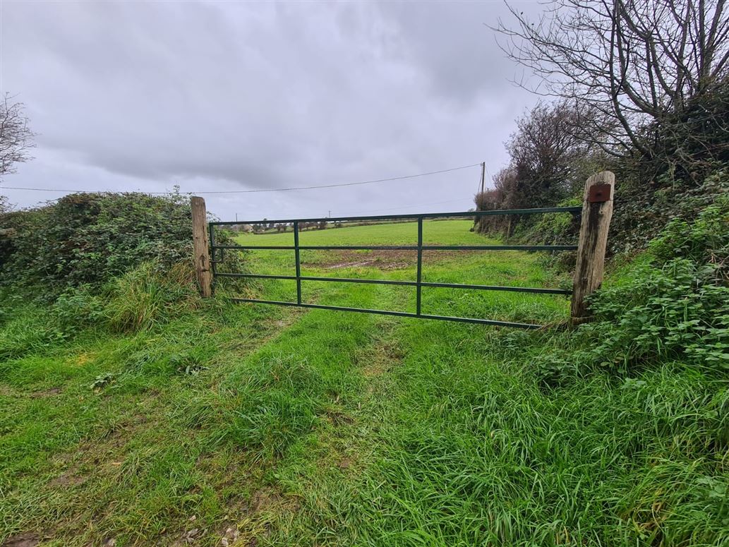 Farranbrien West, Minane Bridge, Cork