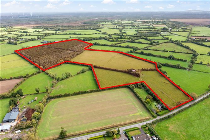 Ballygarrett, Clonbullogue, Offaly
