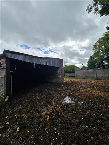 Ballygarrett, Clonbullogue, Offaly