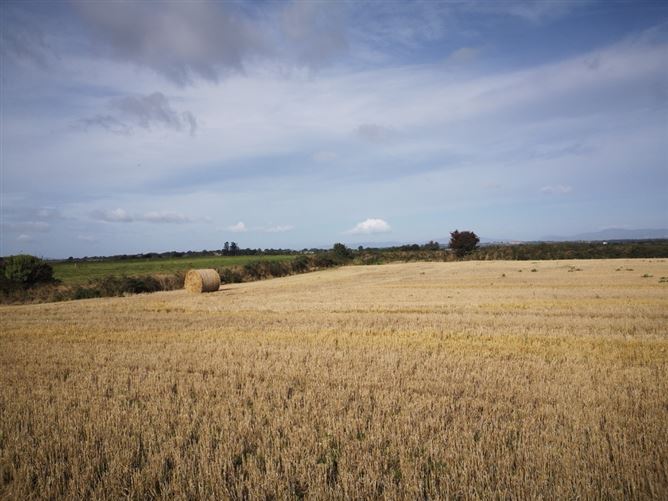 Ballybeg Great, Screen, Wexford