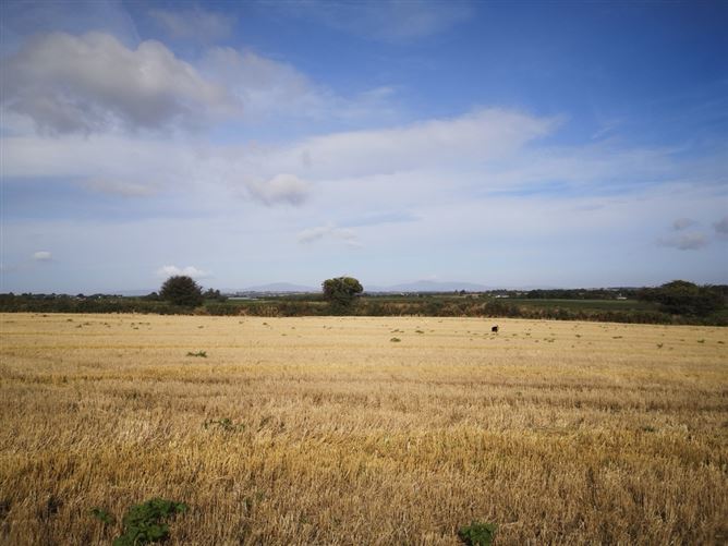 Ballybeg Great, Screen, Wexford