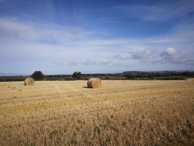Ballybeg Great, Screen, Wexford