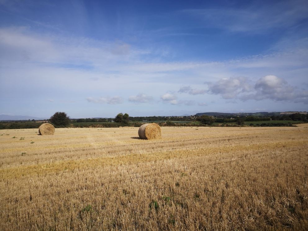Ballybeg Great, Screen, Wexford