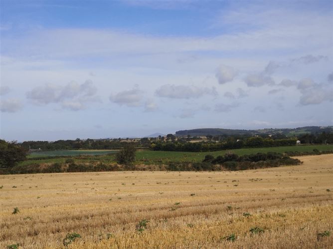 Ballybeg Great, Screen, Wexford