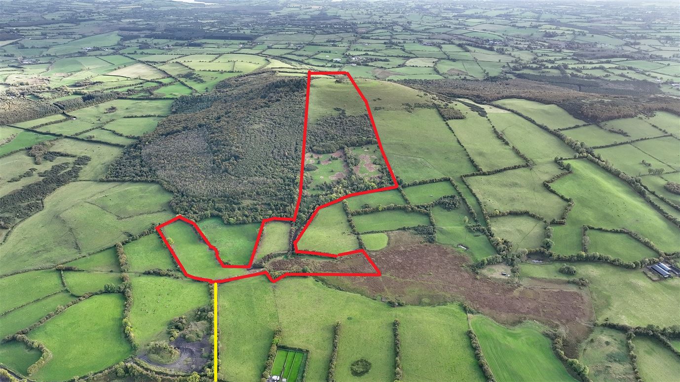 Hill of Mael, Bigwood, Castlepollard, Westmeath