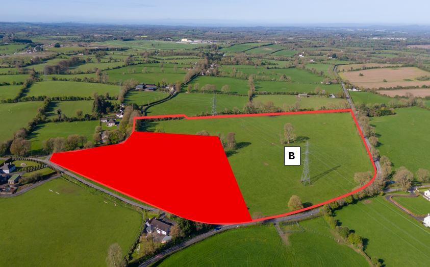 c. 21 Acres Eadestown, Naas, Co. Kildare