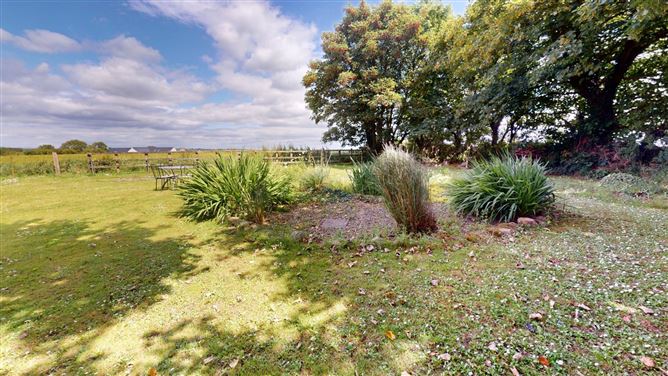 Clonmines, Wellingtonbridge, Co. Wexford