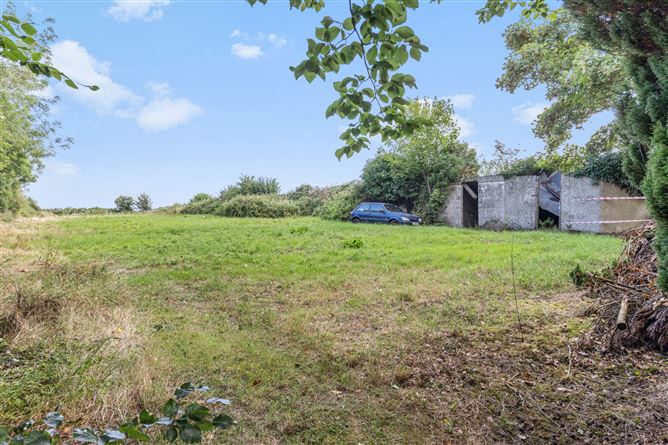 Grange Lower, Goresbridge, Co. Kilkenny