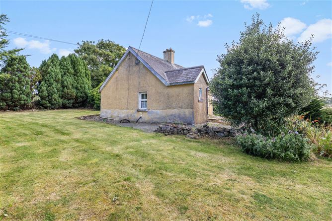 Grange Lower, Goresbridge, Co. Kilkenny