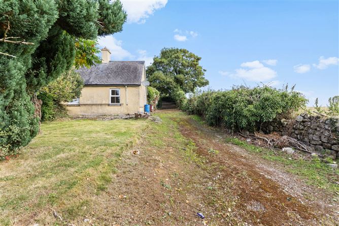 Grange Lower, Goresbridge, Co. Kilkenny