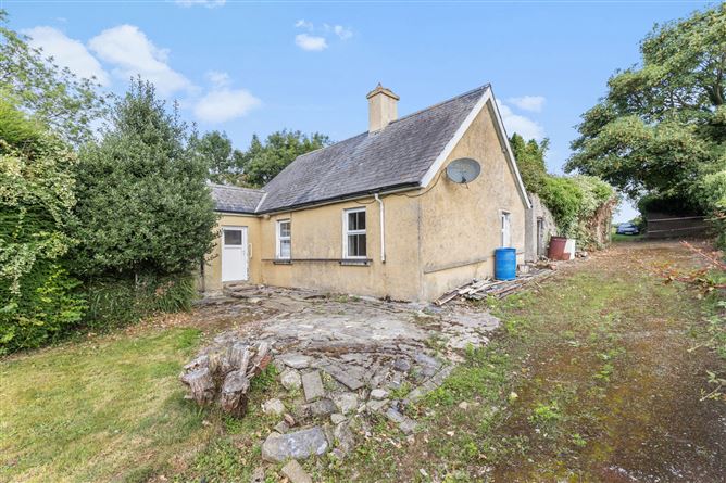 Grange Lower, Goresbridge, Co. Kilkenny