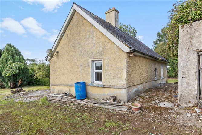 Grange Lower, Goresbridge, Co. Kilkenny