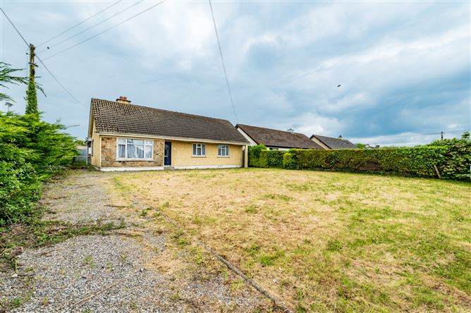 Cowpasture, Monasterevin, Co. Kildare