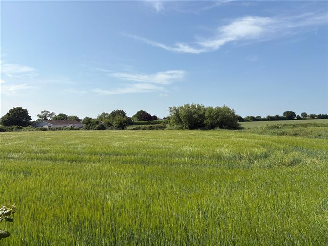 Residential Development Site (FPP), Walterstown, Castlebellingham, Co. Louth