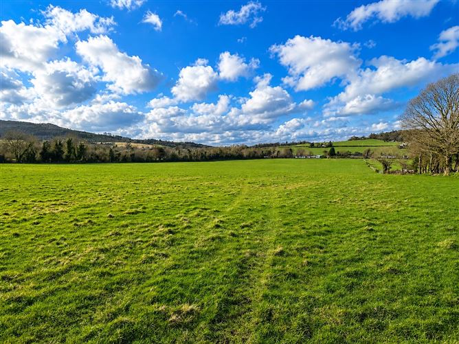 c.37 Acres Farm Land, Cronroe, Ashford, Wicklow