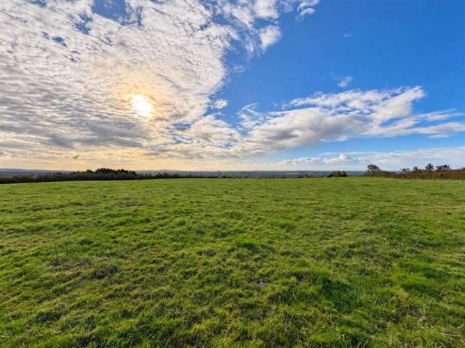 Lot 39.36 Acres), Grange, Tipperary