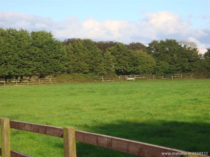 Grangemore Stud, Curragh, Kildare