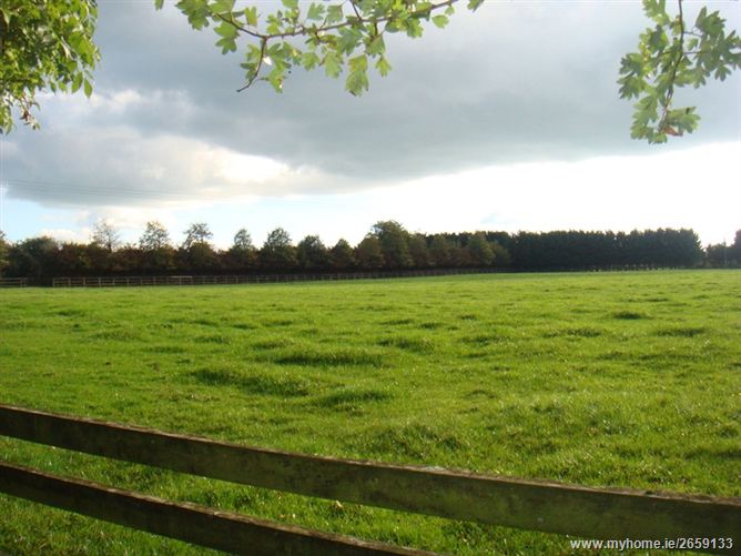 Grangemore Stud, Curragh, Kildare