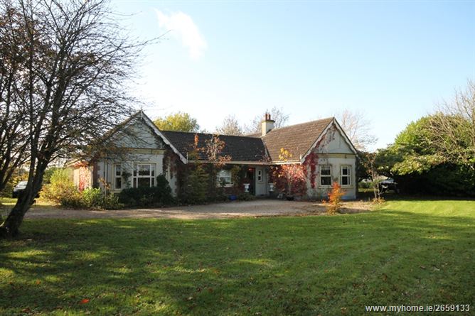 Grangemore Stud, Curragh, Kildare