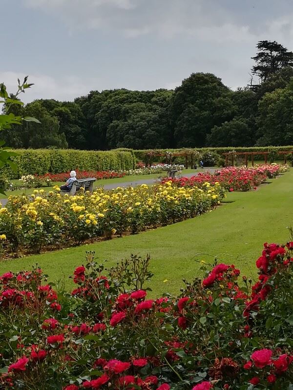 10 Mins from city comfy clean home, Raheny, Dublin 5