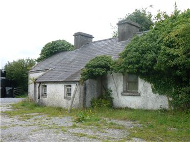 Tiaquin Demesne, Colmanstown, Galway