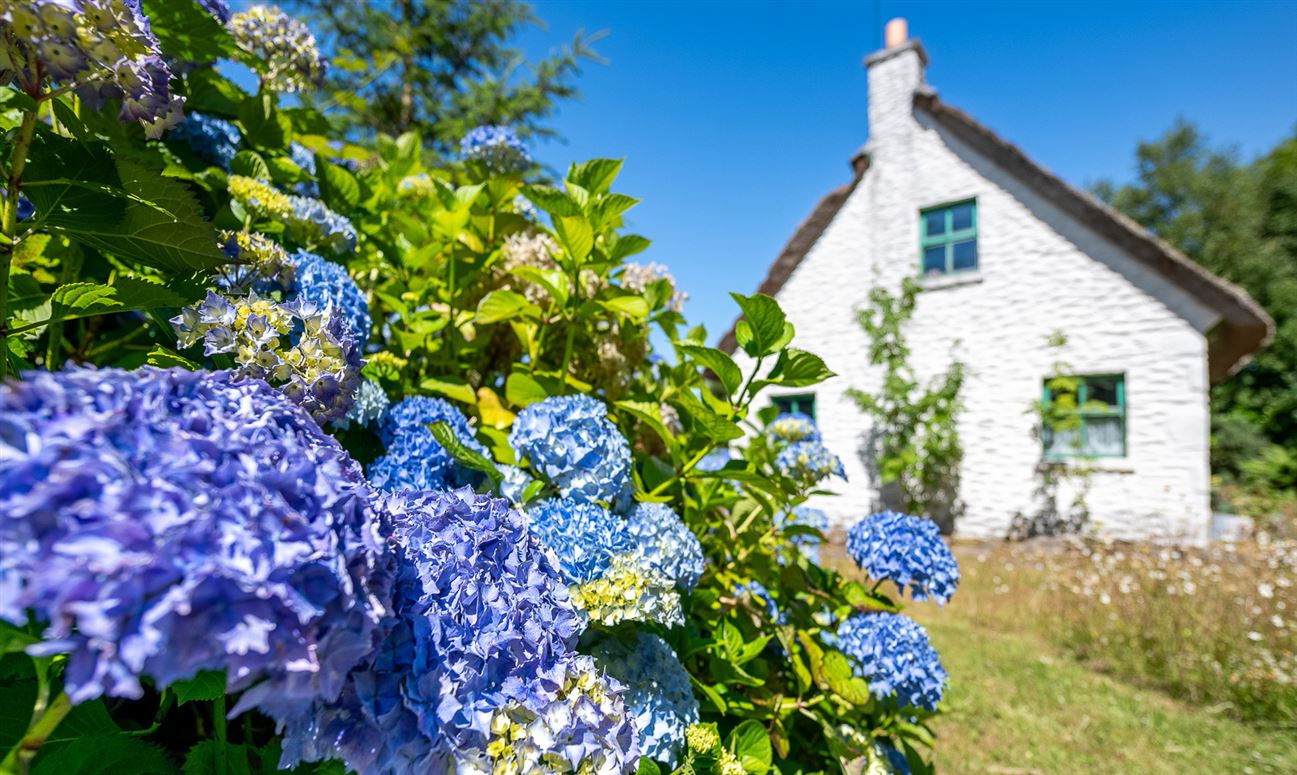The Thatch Cottage, Derrylough, Tuosist, Kenmare, Co. Kerry The Thatch Cottage, Derrylough, Tuosist, Kenmare, Co. Kerry