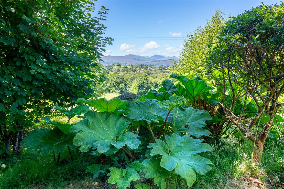 The Thatch Cottage, Derrylough, Tuosist, Kenmare, Co. Kerry The Thatch Cottage, Derrylough, Tuosist, Kenmare, Co. Kerry